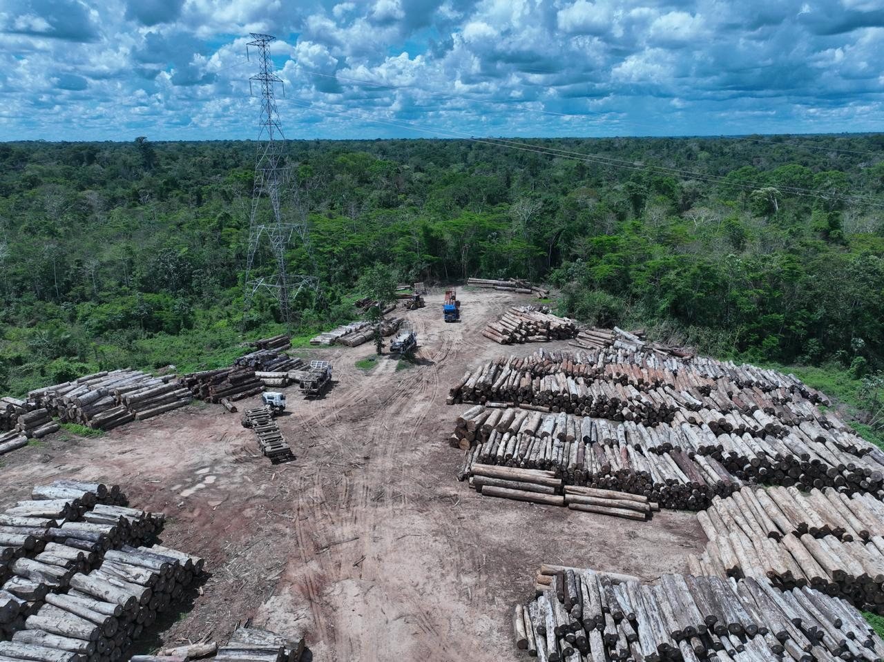 Pátio de toras no manejo florestal